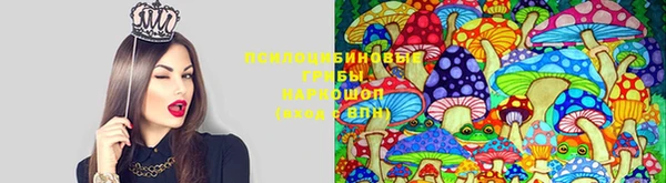 а пвп мука Бугульма