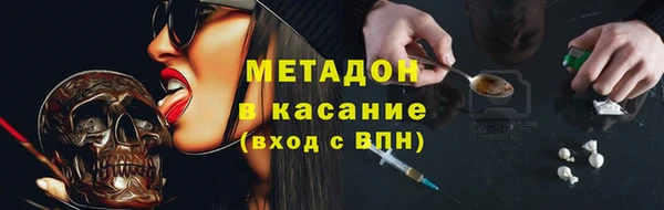шишки Арсеньев