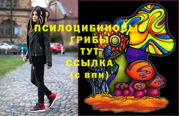 а пвп мука Бугульма