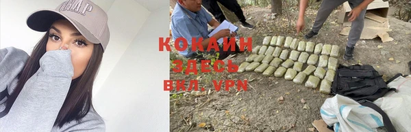 винт Армянск