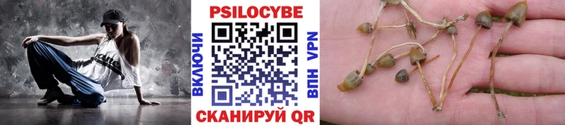 Псилоцибиновые грибы мицелий  магазин    Афипский 